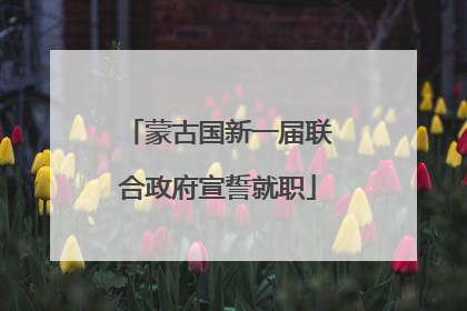 蒙古国新一届联合政府宣誓就职