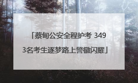 蔡甸公安全程护考 3493名考生逐梦路上警徽闪耀