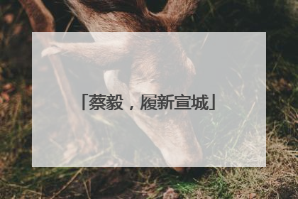 蔡毅，履新宣城