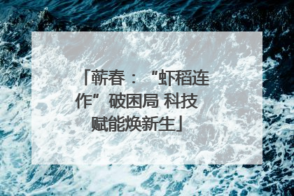 蕲春：“虾稻连作”破困局 科技赋能焕新生