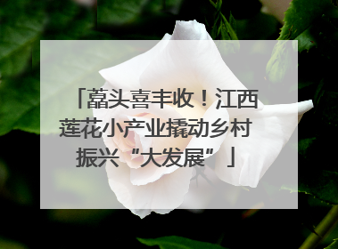 藠头喜丰收！江西莲花小产业撬动乡村振兴“大发展”
