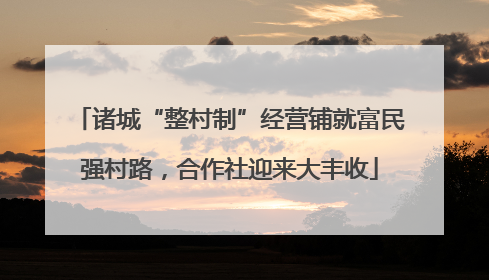 诸城“整村制”经营铺就富民强村路，合作社迎来大丰收