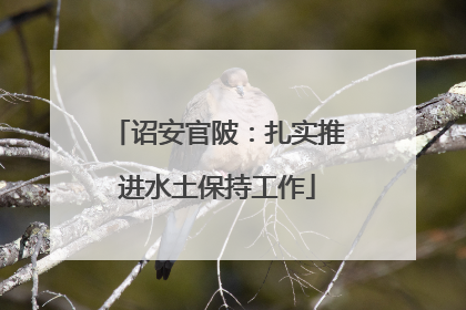 诏安官陂：扎实推进水土保持工作