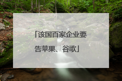 该国百家企业要告苹果、谷歌