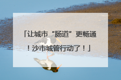 让城市“肠道”更畅通！沙市城管行动了！