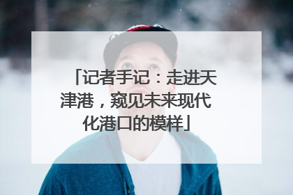 记者手记：走进天津港，窥见未来现代化港口的模样