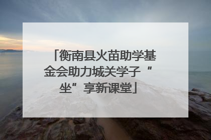 衡南县火苗助学基金会助力城关学子“坐”享新课堂