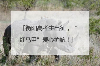 衡阳高考生出征，“红马甲”爱心护航！