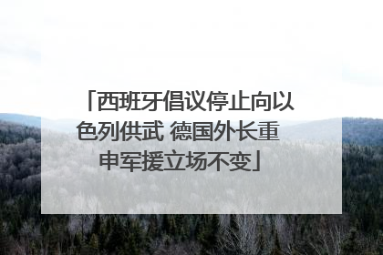西班牙倡议停止向以色列供武 德国外长重申军援立场不变