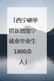 西宁硬举措新增留宁就业毕业生1800余人