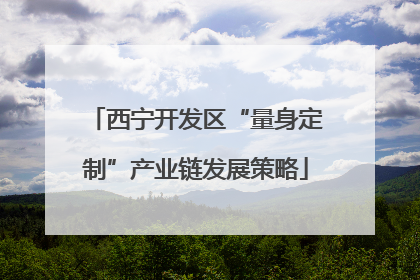 西宁开发区“量身定制”产业链发展策略
