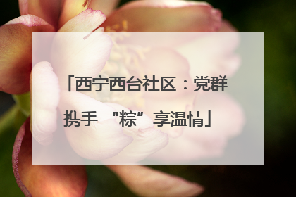西宁西台社区：党群携手 “粽”享温情