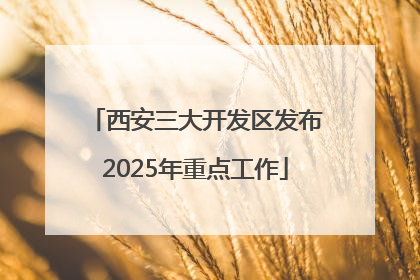 西安三大开发区发布2025年重点工作