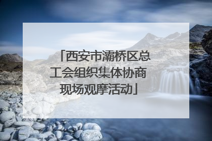 西安市灞桥区总工会组织集体协商现场观摩活动