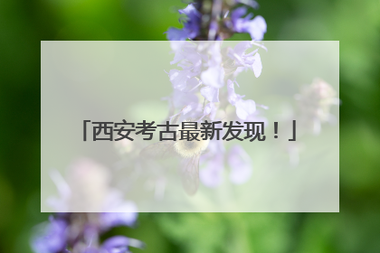 西安考古最新发现！