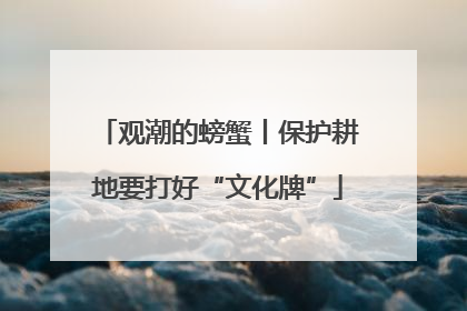 观潮的螃蟹丨保护耕地要打好“文化牌”