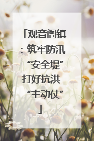 观音阁镇：筑牢防汛“安全堤” 打好抗洪“主动仗”