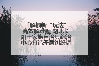 解锁新“玩法” 高效解难题 湖北长阳土家族自治县综治中心打造矛盾纠纷调处“终点站”