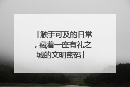 触手可及的日常，藏着一座有礼之城的文明密码