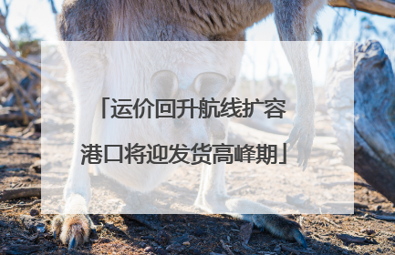 运价回升航线扩容 港口将迎发货高峰期