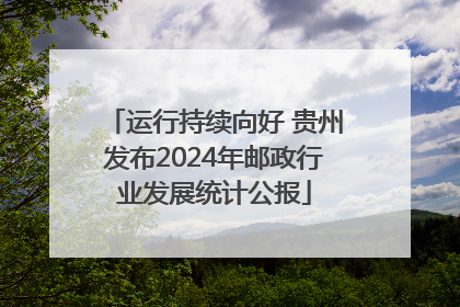 运行持续向好 贵州发布2024年邮政行业发展统计公报