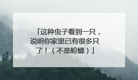 这种虫子看到一只，说明你家里已有很多只了！（不是蟑螂）
