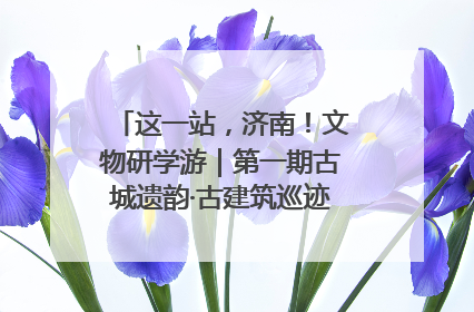 这一站，济南！文物研学游｜第一期古城遗韵·古建筑巡迹之旅圆满结束