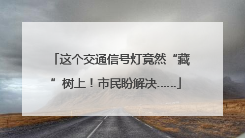 这个交通信号灯竟然“藏”树上！市民盼解决……