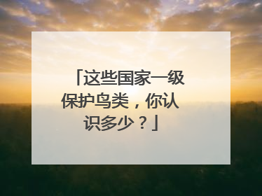 这些国家一级保护鸟类，你认识多少？