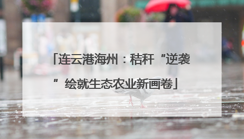 连云港海州：秸秆“逆袭”绘就生态农业新画卷
