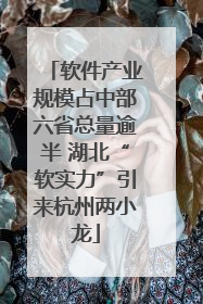 软件产业规模占中部六省总量逾半 湖北“软实力”引来杭州两小龙