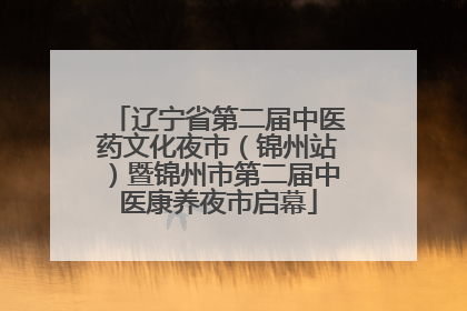 辽宁省第二届中医药文化夜市（锦州站）暨锦州市第二届中医康养夜市启幕