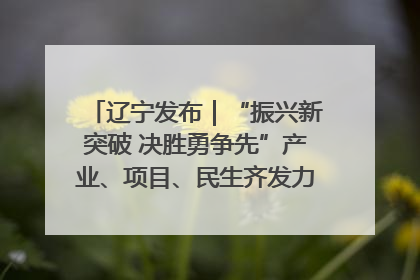 辽宁发布｜“振兴新突破 决胜勇争先”产业、项目、民生齐发力 葫芦岛按下决胜之年“加速键”