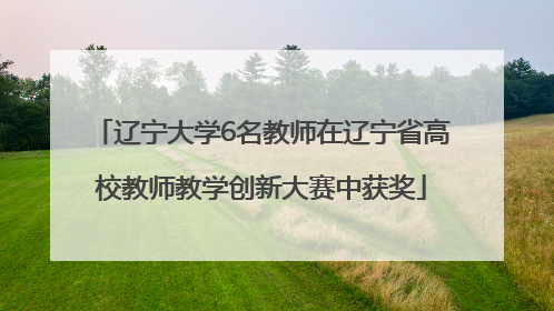 辽宁大学6名教师在辽宁省高校教师教学创新大赛中获奖