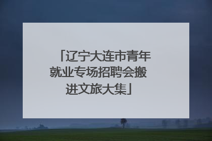 辽宁大连市青年就业专场招聘会搬进文旅大集