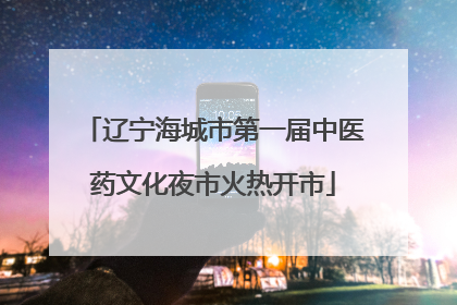 辽宁海城市第一届中医药文化夜市火热开市