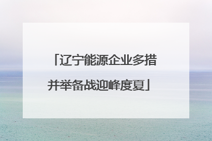 辽宁能源企业多措并举备战迎峰度夏