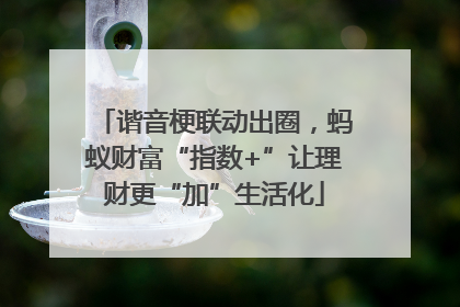 谐音梗联动出圈，蚂蚁财富“指数+”让理财更“加”生活化