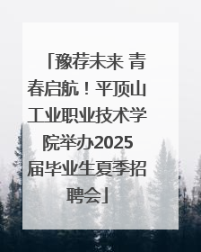 豫荐未来 青春启航！平顶山工业职业技术学院举办2025届毕业生夏季招聘会