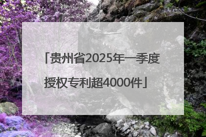 贵州省2025年一季度授权专利超4000件