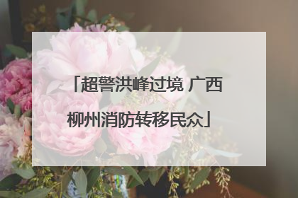 超警洪峰过境 广西柳州消防转移民众