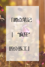 蹲点笔记｜“疯狂”的分拣工