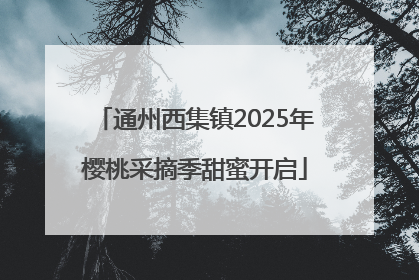 通州西集镇2025年樱桃采摘季甜蜜开启