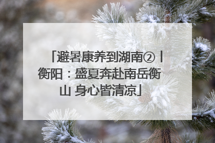 避暑康养到湖南②丨衡阳：盛夏奔赴南岳衡山 身心皆清凉