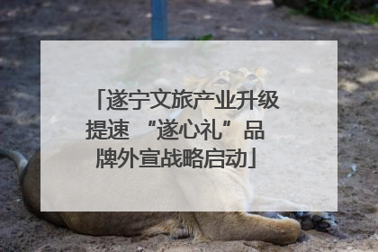 遂宁文旅产业升级提速 “遂心礼”品牌外宣战略启动