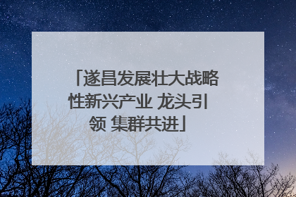 遂昌发展壮大战略性新兴产业 龙头引领 集群共进