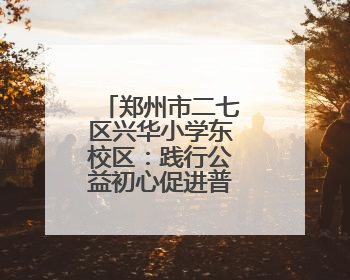 郑州市二七区兴华小学东校区：践行公益初心促进普特教育融合