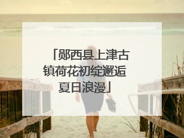 郧西县上津古镇荷花初绽邂逅夏日浪漫