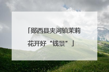 郧西县夹河镇茉莉花开好“钱景”