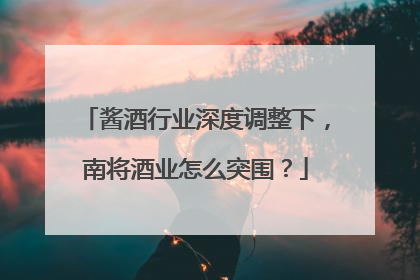 酱酒行业深度调整下，南将酒业怎么突围？